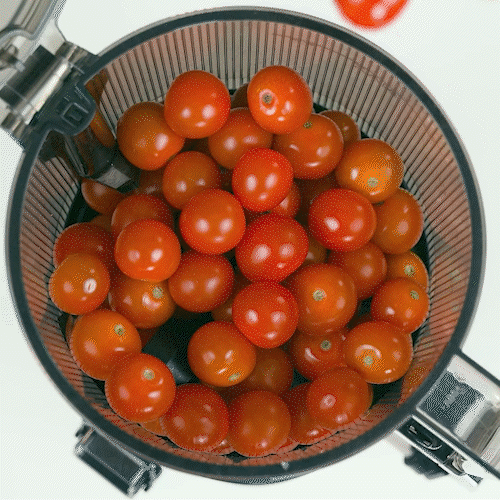 AUTO10S HANDS-FREE SLOW JUICER