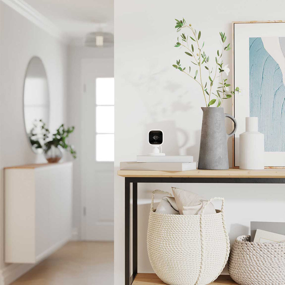 Meater Pro / 2 Plus + Blink Mini Kamera