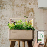 BerlinGreen GreenBox