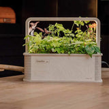 BerlinGreen GreenBox