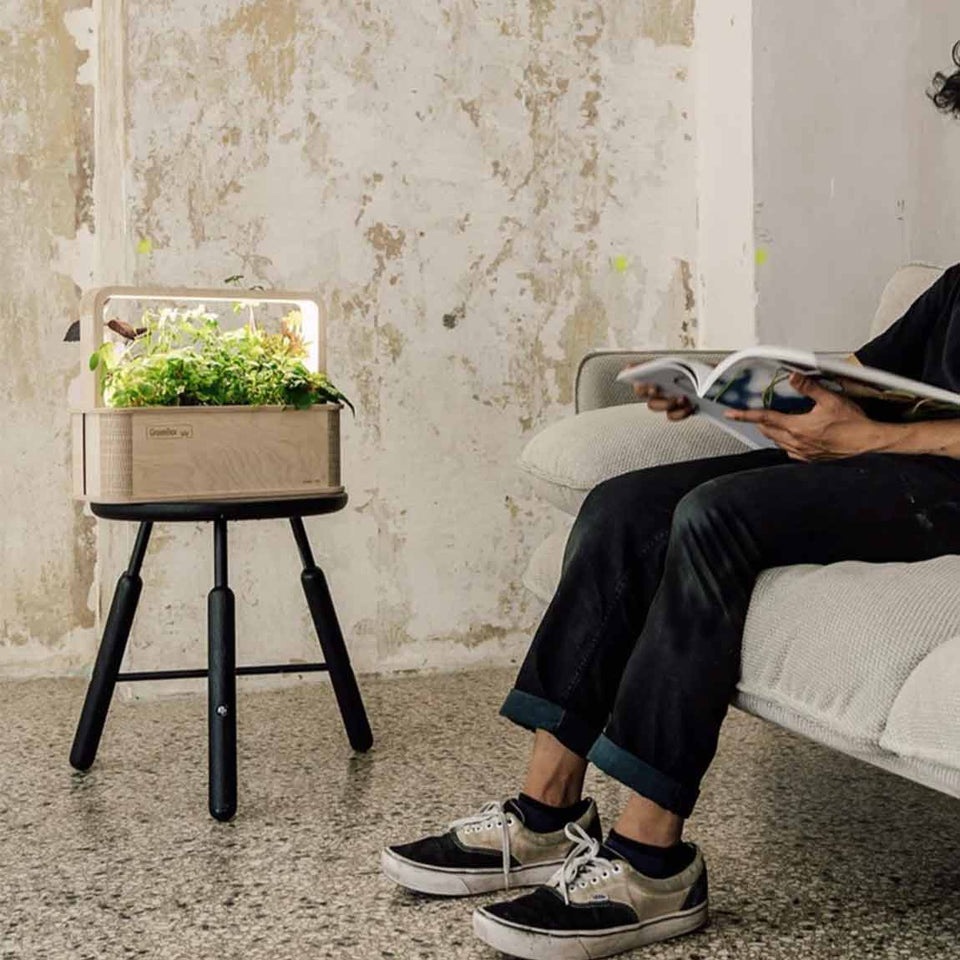 BerlinGreen GreenBox