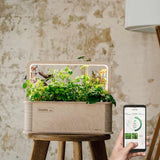 BerlinGreen GreenBox - Starter Deluxe Bundle