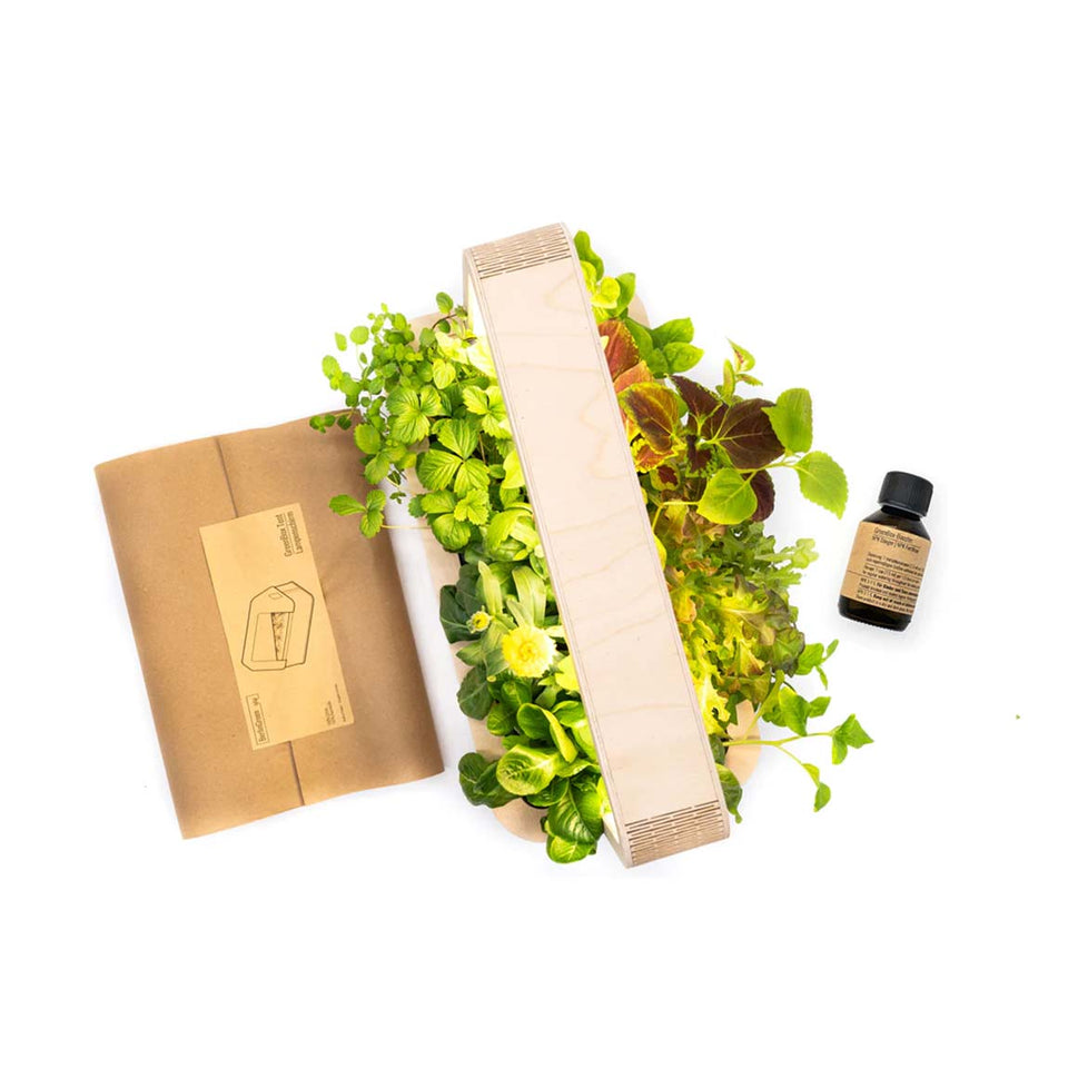 BerlinGreen GreenBox - Starter Deluxe Bundle
