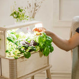 BerlinGreen GreenBox - Great Variety Bundle