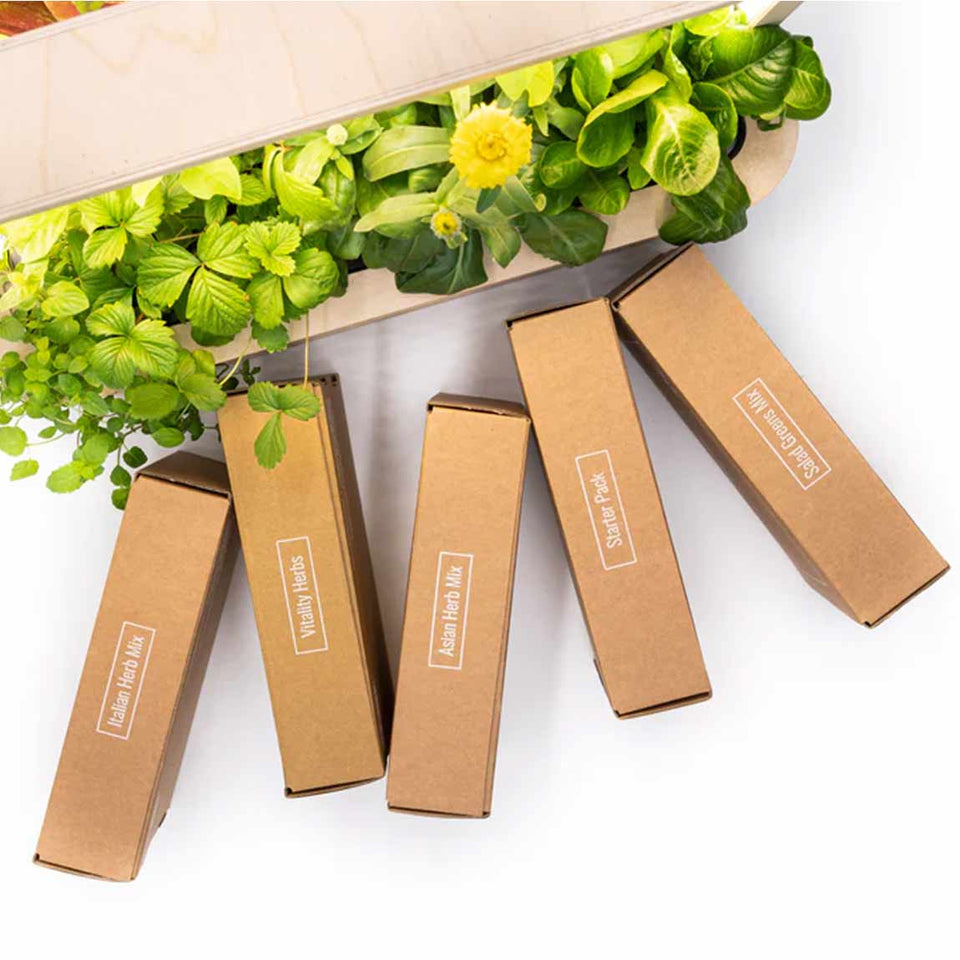 BerlinGreen GreenBox - Great Variety Bundle