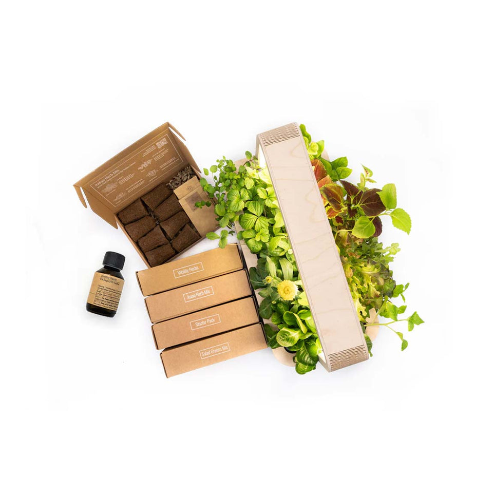 BerlinGreen GreenBox - Great Variety Bundle