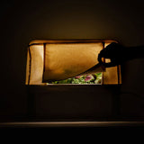 BerlinGreen GreenBox - Starter Deluxe Bundle