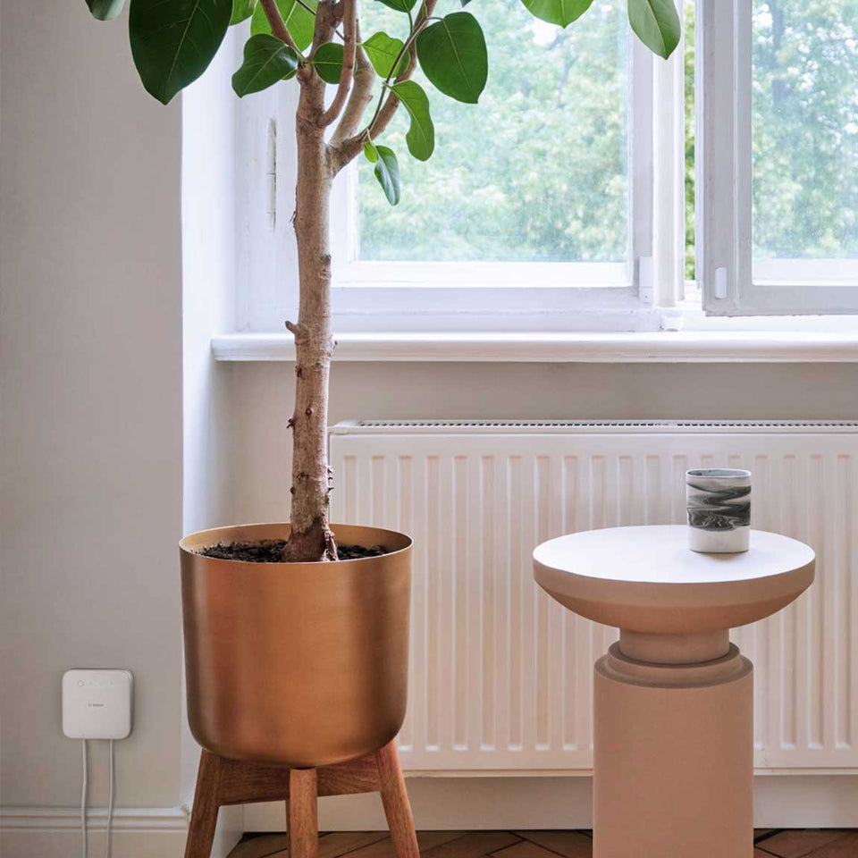 Bosch Smart Home - Starter-Set Heizung II [+M] mit 8 Thermostaten