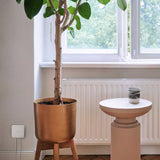 Bosch Smart Home - Starter-Set Heizung II [+M] mit 8 Thermostaten