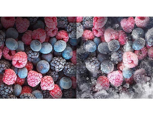 SAMSUNG RL34C600CSA/EG Kühlgefrierkombination (C, 344 l, 1853 mm hoch, Edelstahl Look)