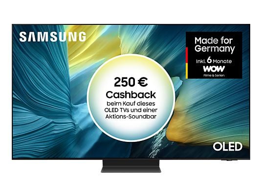 SAMSUNG OLEDGQ55S95F OLED 4K Vision AI Smart TV (55 Zoll / 138 cm, UHD 4K, SMART TV)