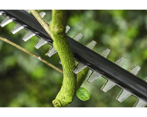 Akku-Teleskop-Heckenschere Universal HedgePole BOSCH 18 V + GRATIS Zugabeartikel Ersatzakku PBA 18V Li-Ion (2,5Ah)