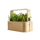 BerlinGreen GreenBox