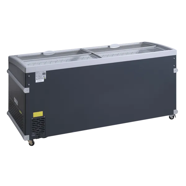 Supermarkttruhe hagsfeld 700 umschaltbare Kühltruhe-Tiefkühltruhe
