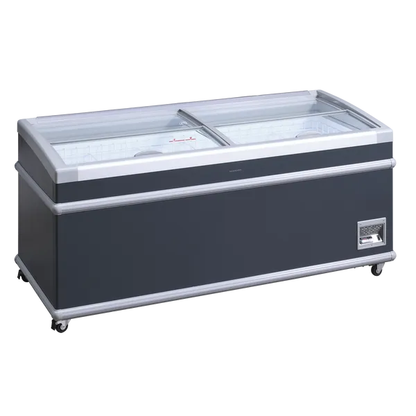 Supermarkttruhe hagsfeld 700 umschaltbare Kühltruhe-Tiefkühltruhe