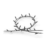 Philips Hue Festavia Lichterkette 20m 250 LEDs + Bridge Pro