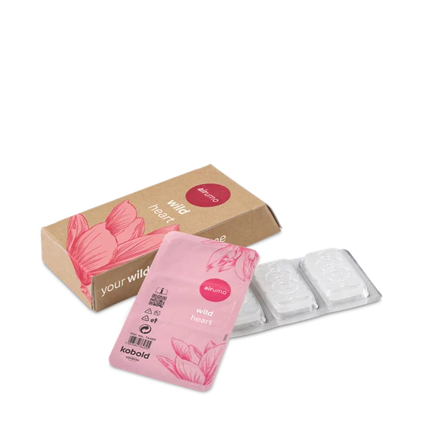 Saugroboter mit Absaugstation