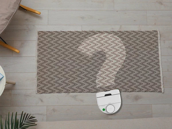 Saugroboter mit Absaugstation