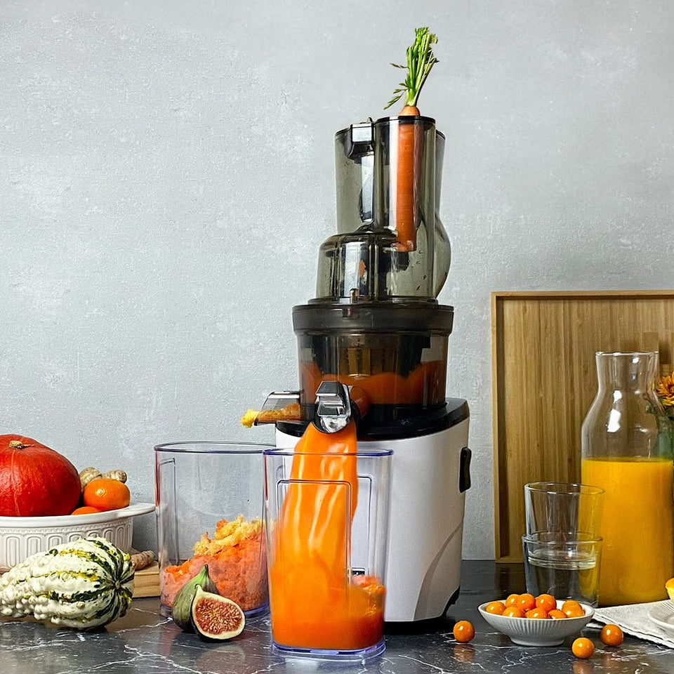 REVO830 WHOLE SLOW JUICER