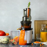 REVO830 WHOLE SLOW JUICER