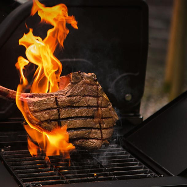 GASGRILL Grau, Schwarz